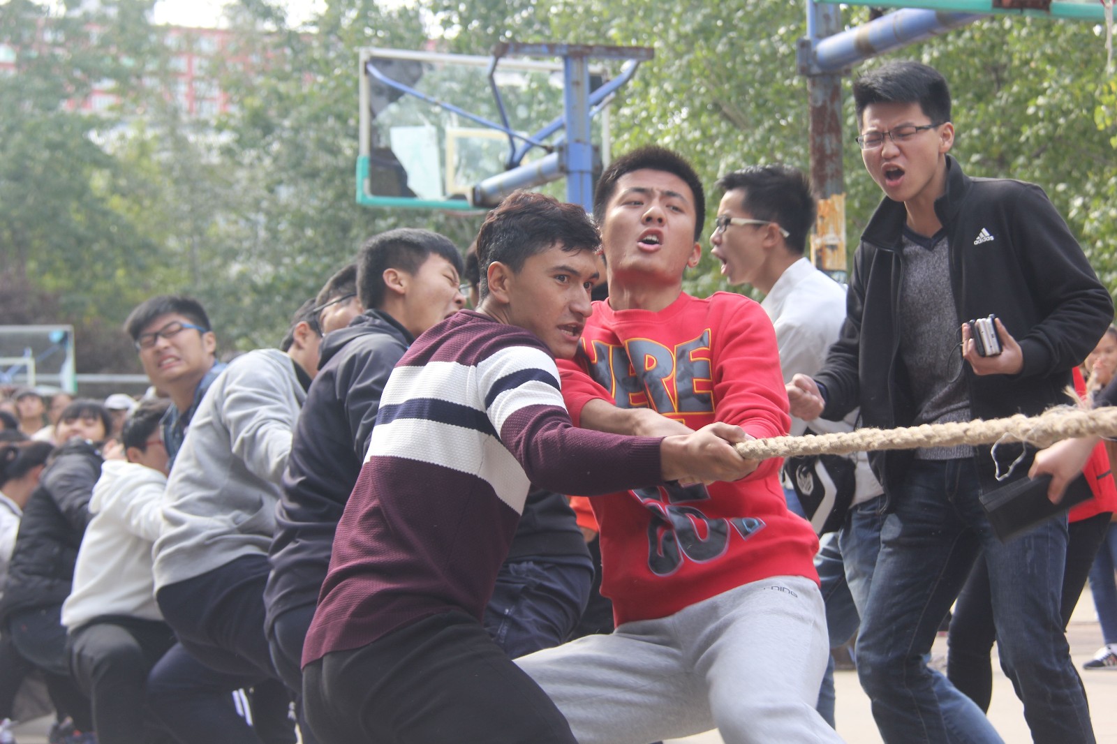 IMG_1391_看图王.jpg IMG_1391_看图王.jpg